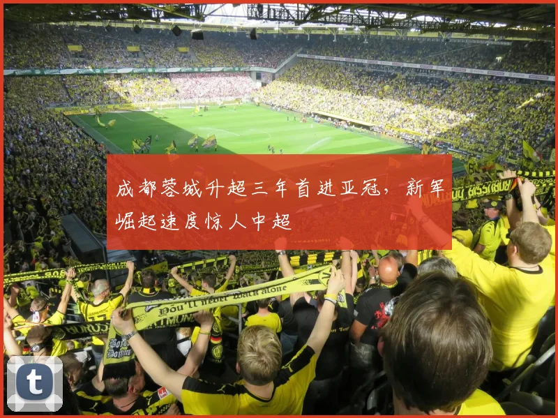 成都蓉城升超三年首进亚冠,新军崛起速度惊人中超